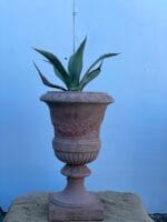 Tuscan terracotta pot for sale