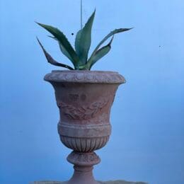 Tuscan terracotta pot for sale