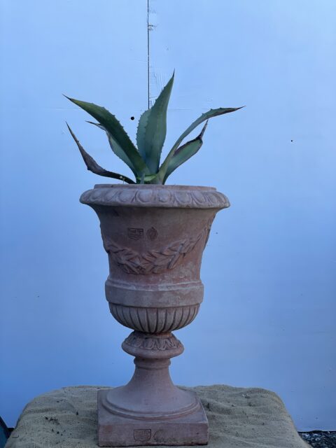 Tuscan terracotta pot for sale