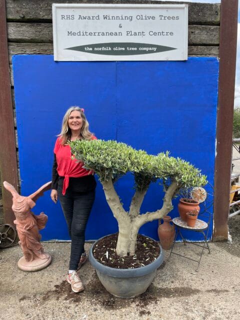Topiary tree