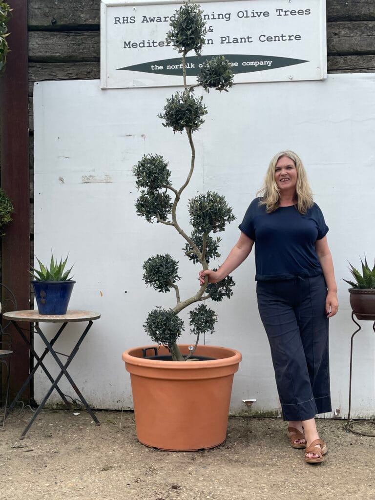 Large Plant Pots