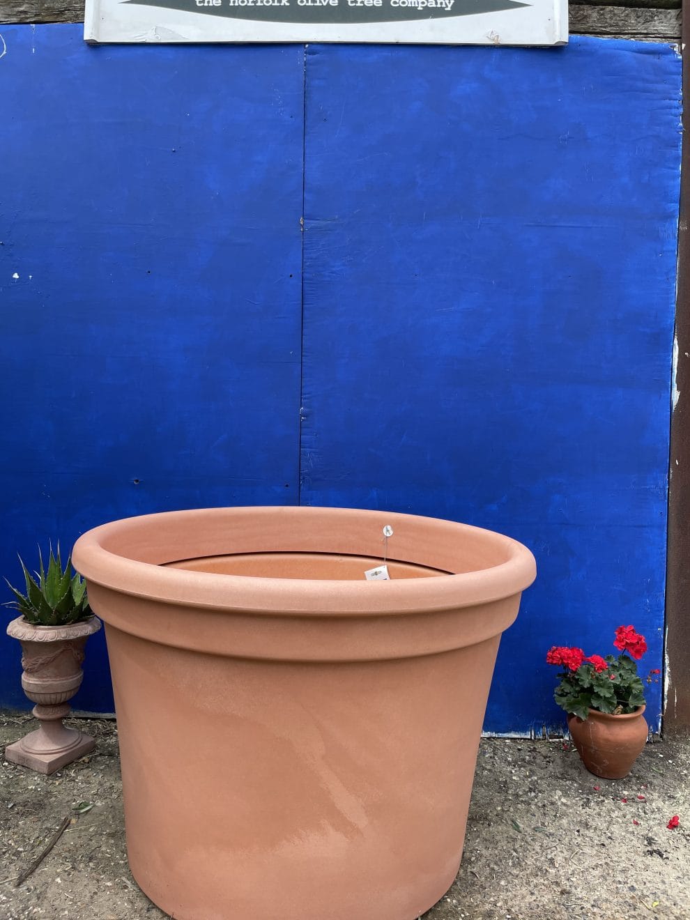 Extra large garden pot. The Norfolk Olive Tree Company