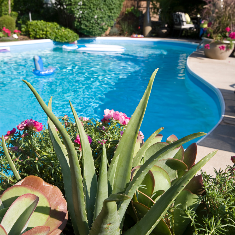 Poolside plants deals
