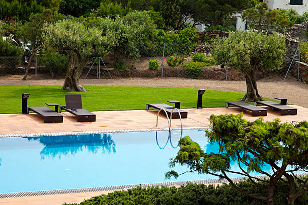 Swimming pool landscaping