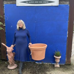 Large plant pot