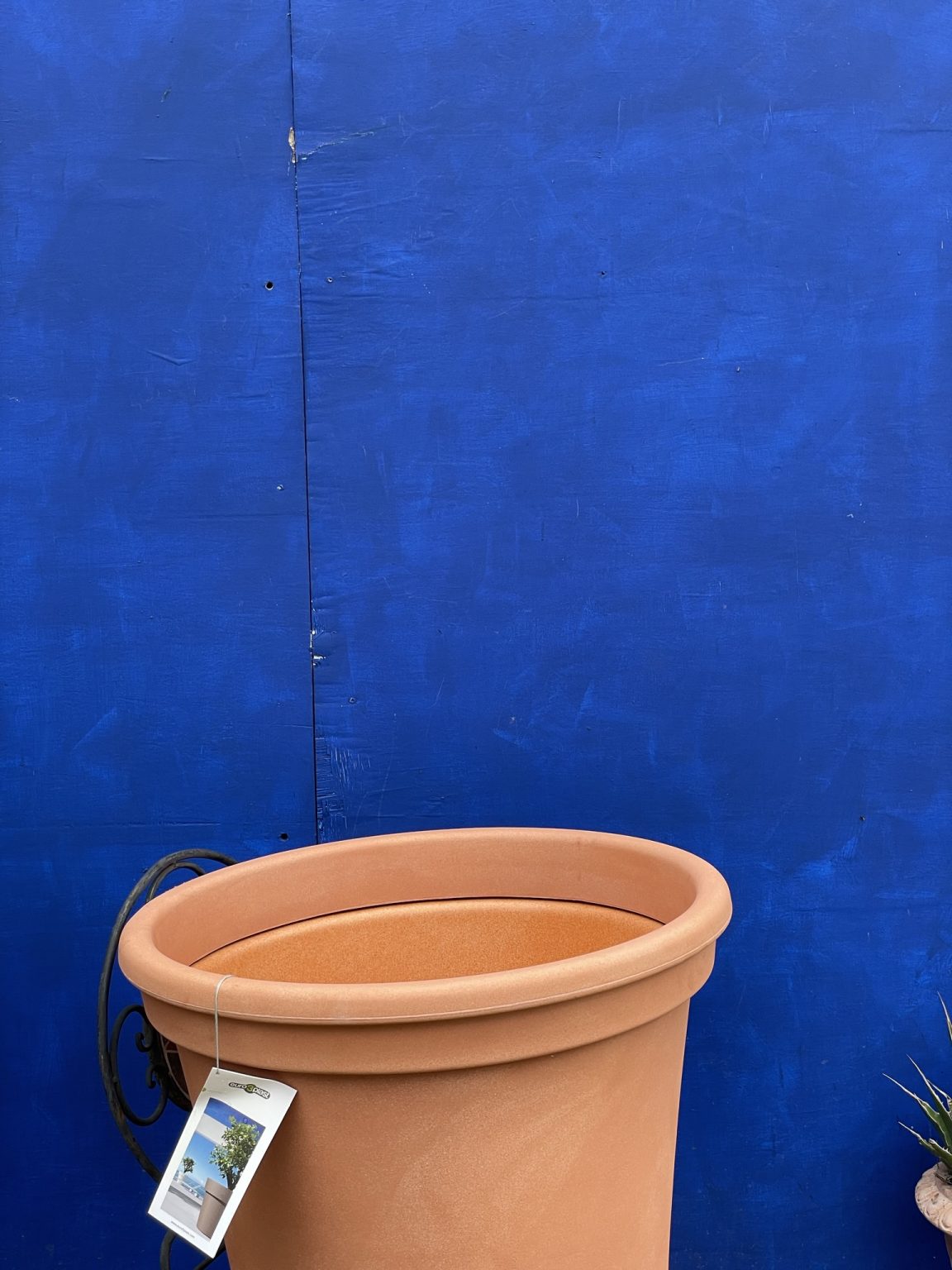 Large plant pot Free delivery The Norfolk Olive Tree Company