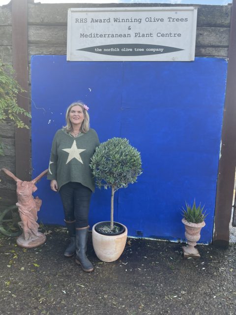 The Olive Tree Gift
