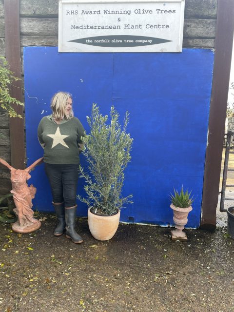 The Olive Tree Gift