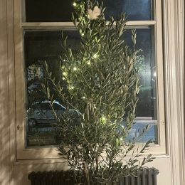 Eco friendly Christmas tree