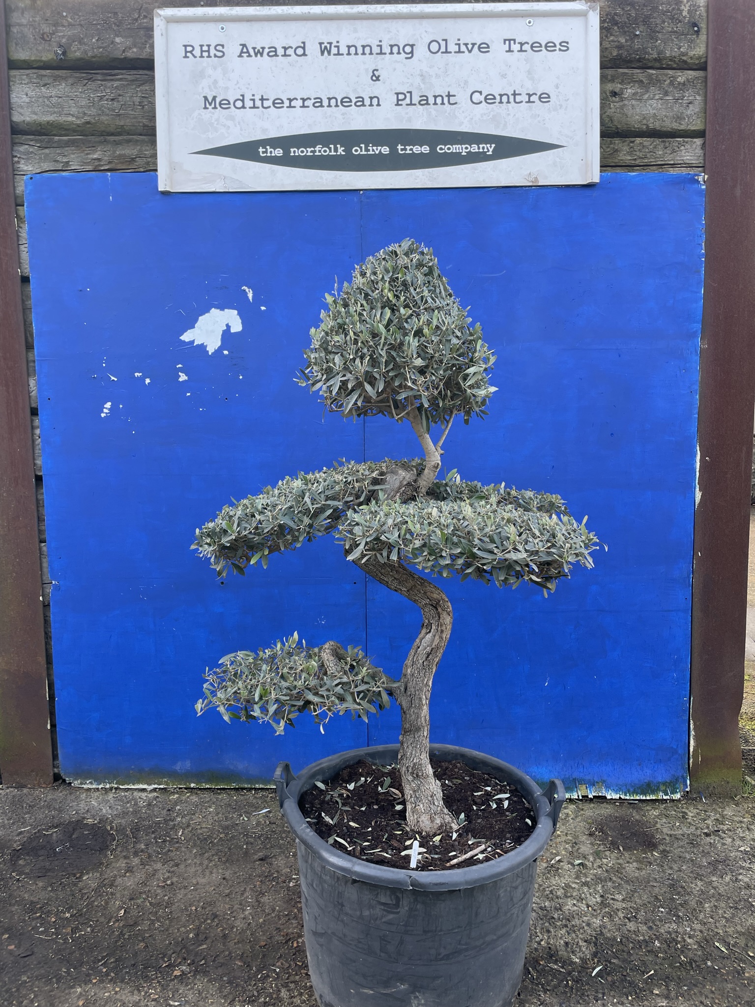 Scarpe Saucony Guide 18 TG - Taglia 40 EU, Colore Cloud Olive, Materiale Sintetico, Stringate