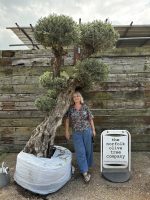 Topiary tree