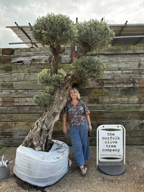 Topiary tree