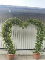 Wedding arch - Jasmine love heart.