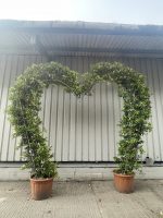 Wedding arch - Jasmine love heart.