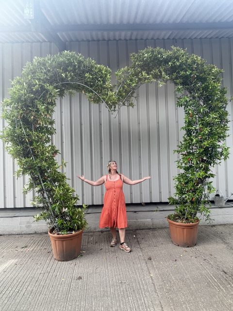 Wedding arch - Jasmine love heart.