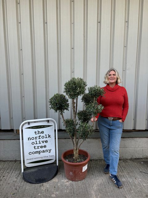 Topiary tree