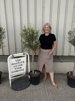 London Olive tree