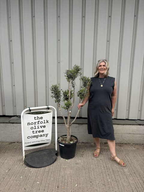 Small cloud tree in pot.