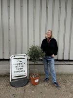 1/2 Standard Olive tree
