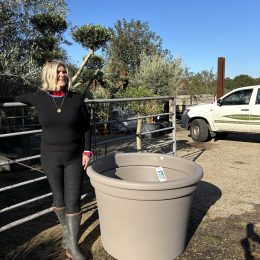 Extra large garden pot.