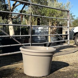 Large plant pot