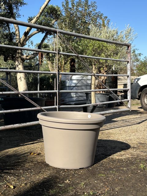 Large plant pot