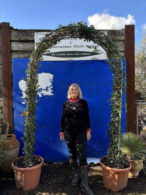 Topiary Jasmine arch