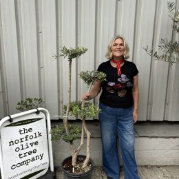 Niwaki cloud pruned Olive Tree - delivery included