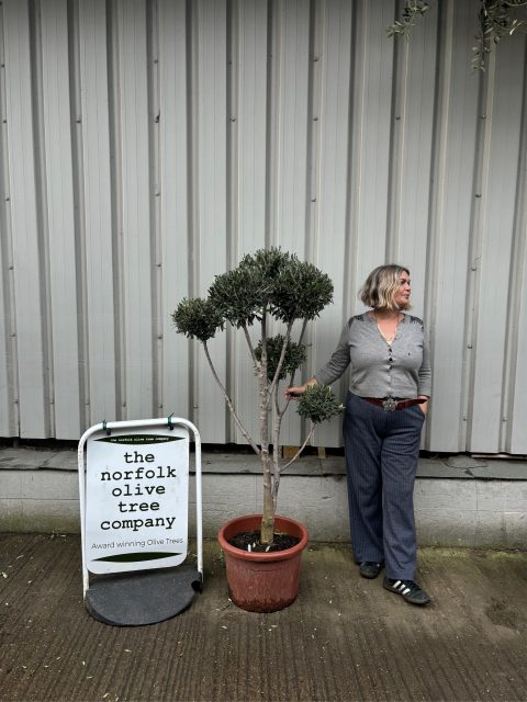 Topiary tree