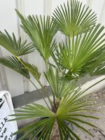 IMG_1506