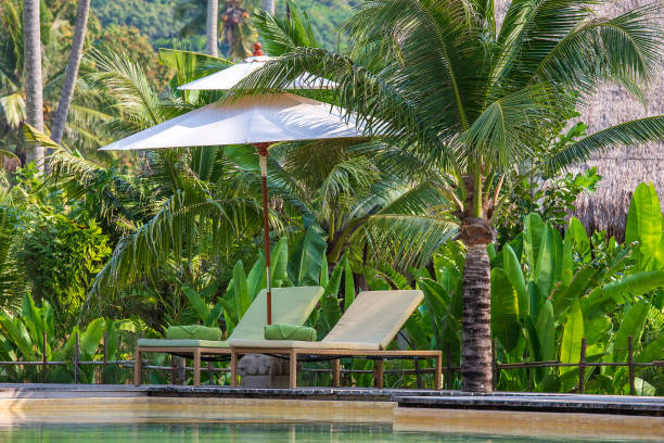 Tropical Garden Plants UK