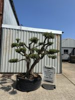 IMG_0489