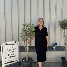 Multi-stem Olive tree