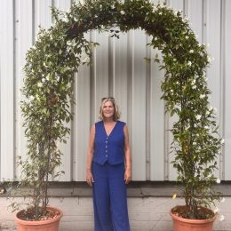 Large Star Jasmine Arch (Trachelospermum jasminoides) | Evergreen Fragrant Topiary Jasmine Arch