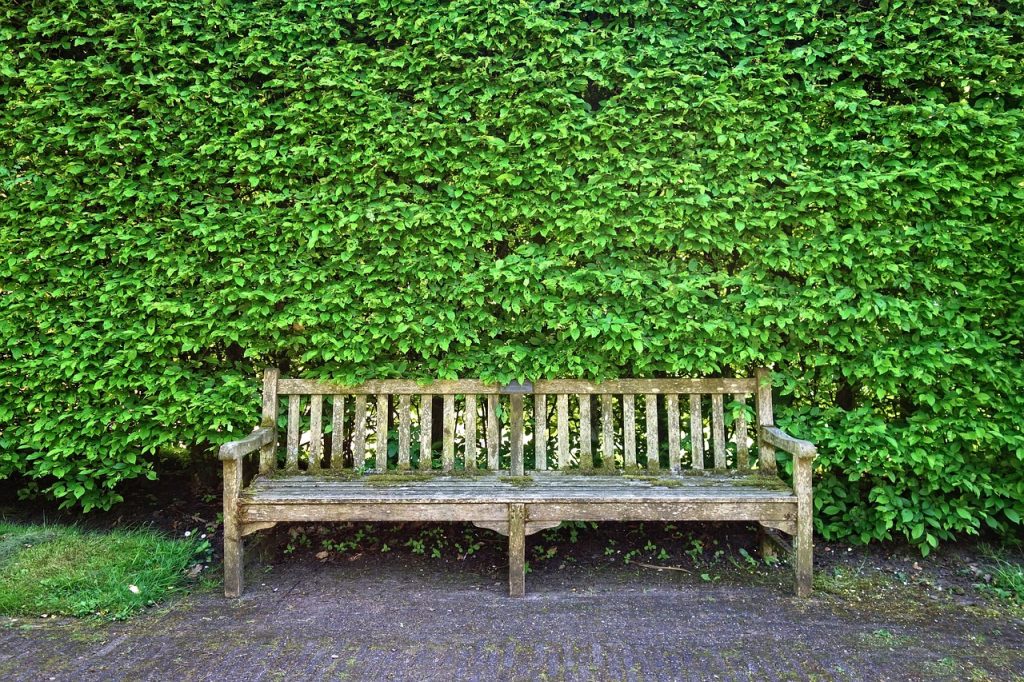 Cutting hedges law~ UK