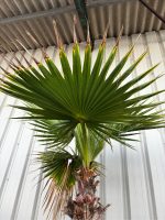 IMG_1787