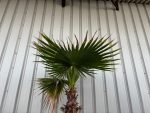 IMG_1790