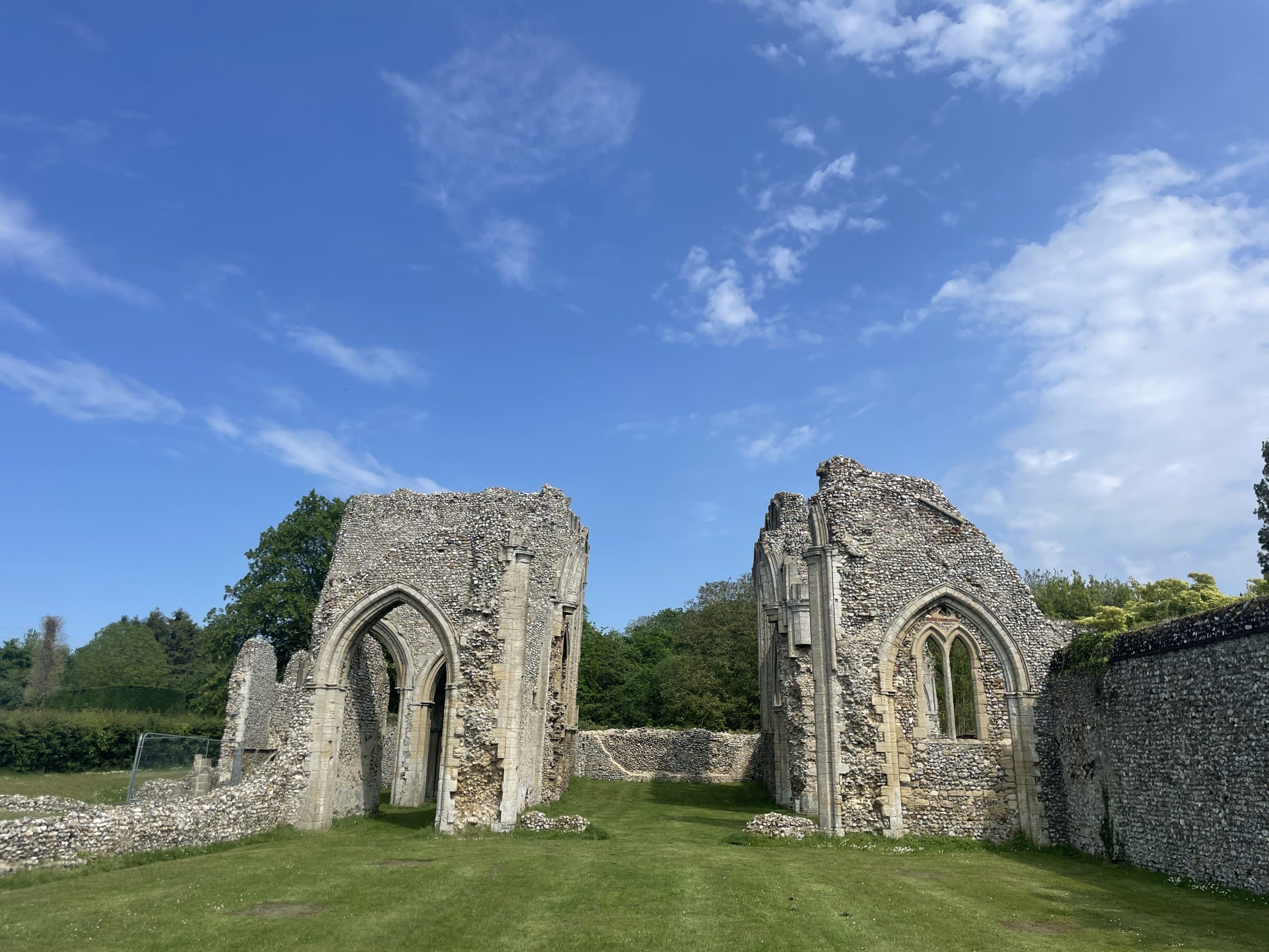 Creake Abbey olive trees