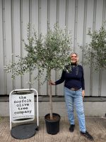 IMG_0347