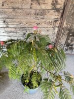 IMG_3402