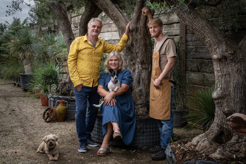 Buy Olive Trees Near Me | UK Olive Tree Specialists