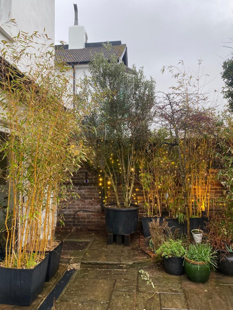 Screening trees