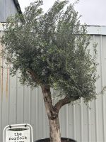 IMG_0696