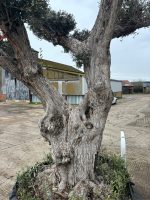 IMG_0812