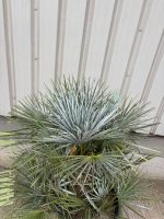 IMG_1080