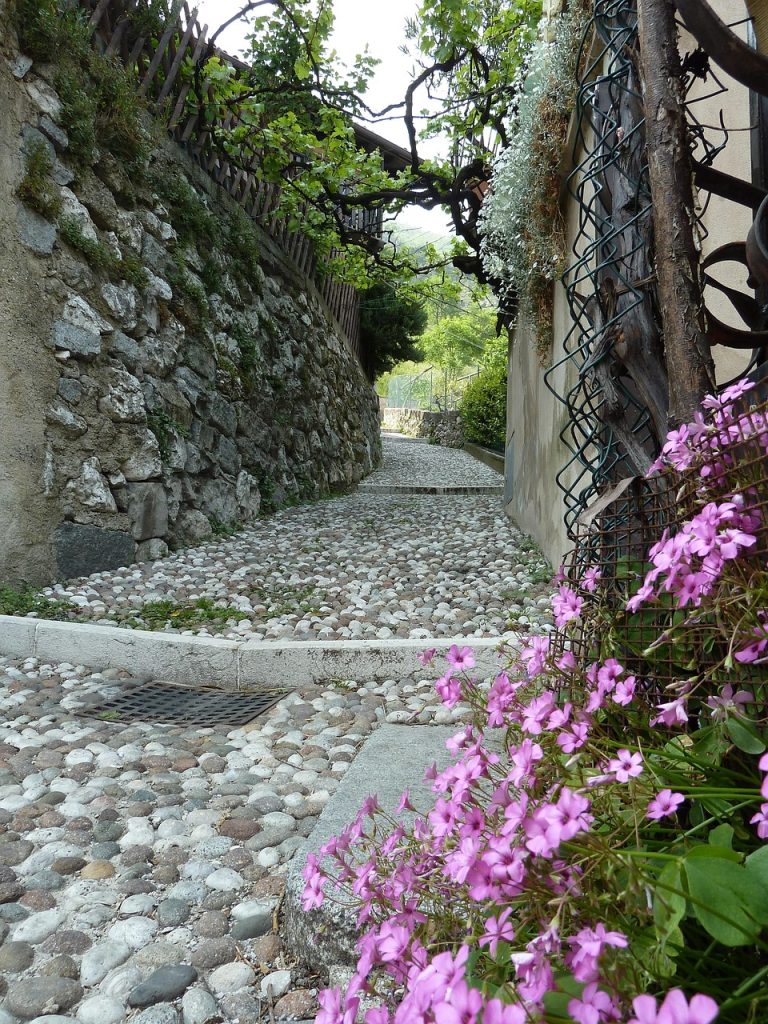 Mediterranean garden