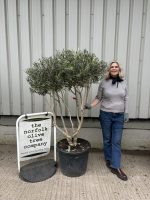 IMG_7358