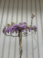IMG_8352