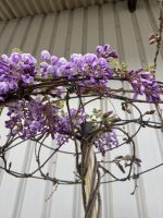 IMG_8353