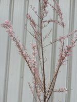 IMG_8360